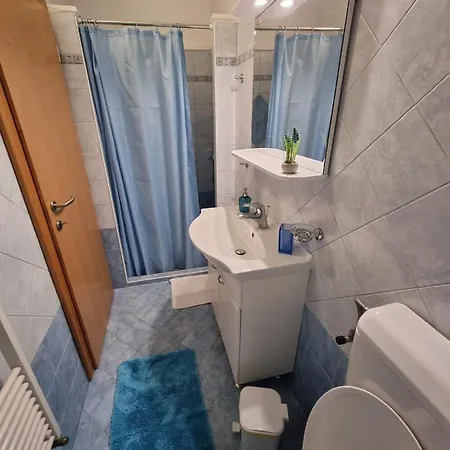 Apartment Vrenjak *