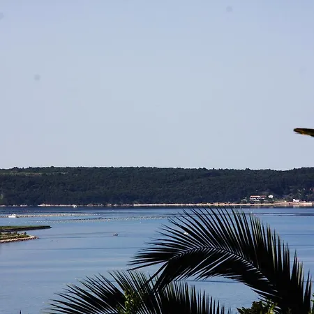 Vrenjak Portoroz