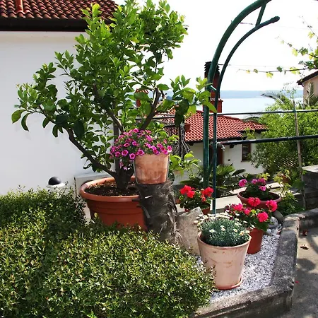 Vrenjak *