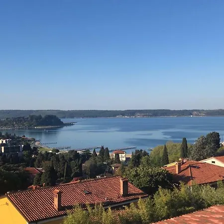 Apartment Vrenjak