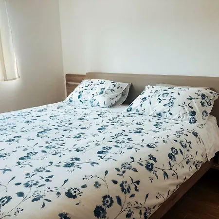 Apartment Vrenjak *