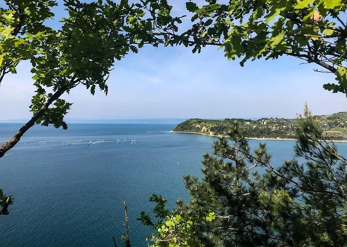 Vrenjak Apartamento Portorož