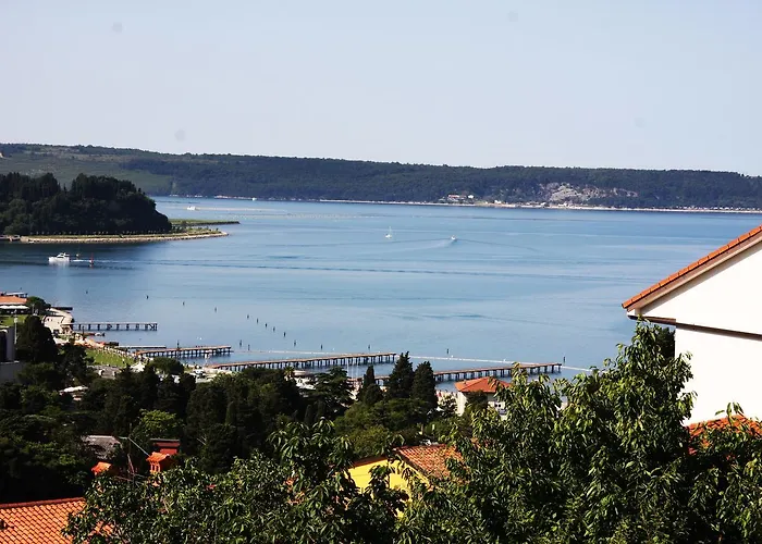 Vrenjak Apartamento *